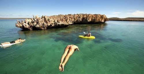 Dirk Hartog Island Eco Lodge Denham Εξωτερικό φωτογραφία